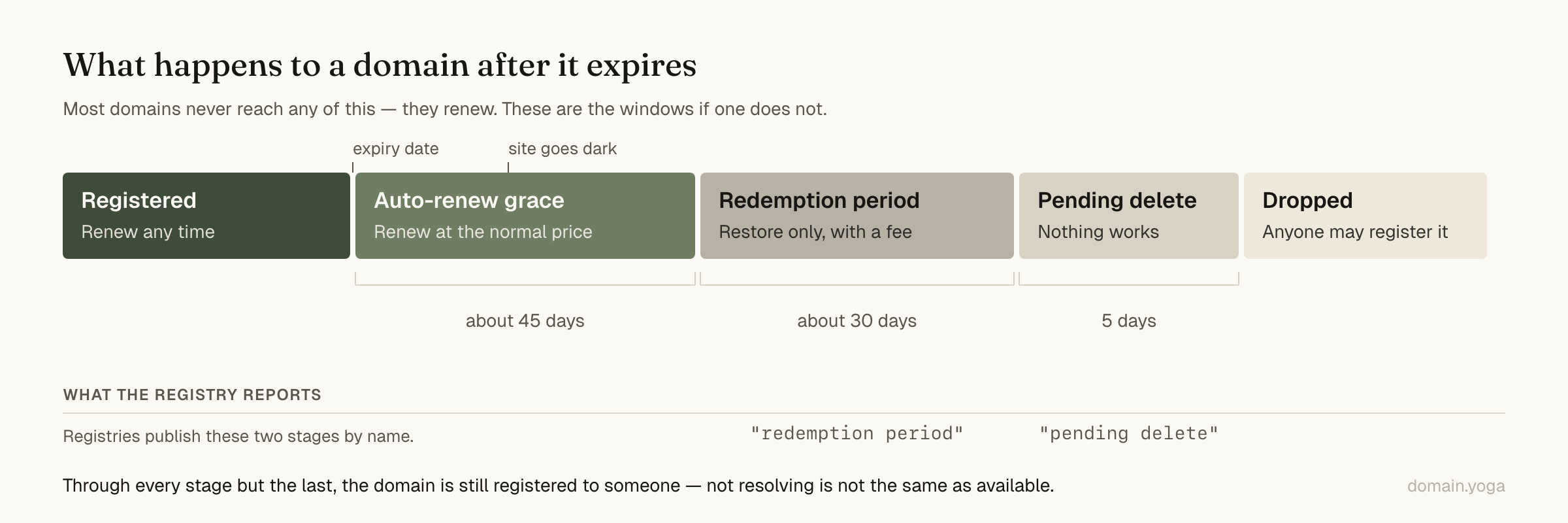A timeline of what happens to a domain after it expires. While registered, it can be renewed at any time. From the expiry date it enters auto-renew grace for roughly 45 days, where renewal still costs the normal price. Partway through that window the site goes dark, but the domain stays renewable at the normal price. It then spends roughly 30 days in the redemption period, where only a restore works and registrars charge a recovery fee. A final 5 days in pending delete follow, where nothing can be done by anyone. Only after that does it drop and become available to register. Registries publish the middle two stages as the literal words redemption period and pending delete. Most domains never enter this sequence at all — they renew.